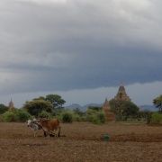 09_Bagan (70)